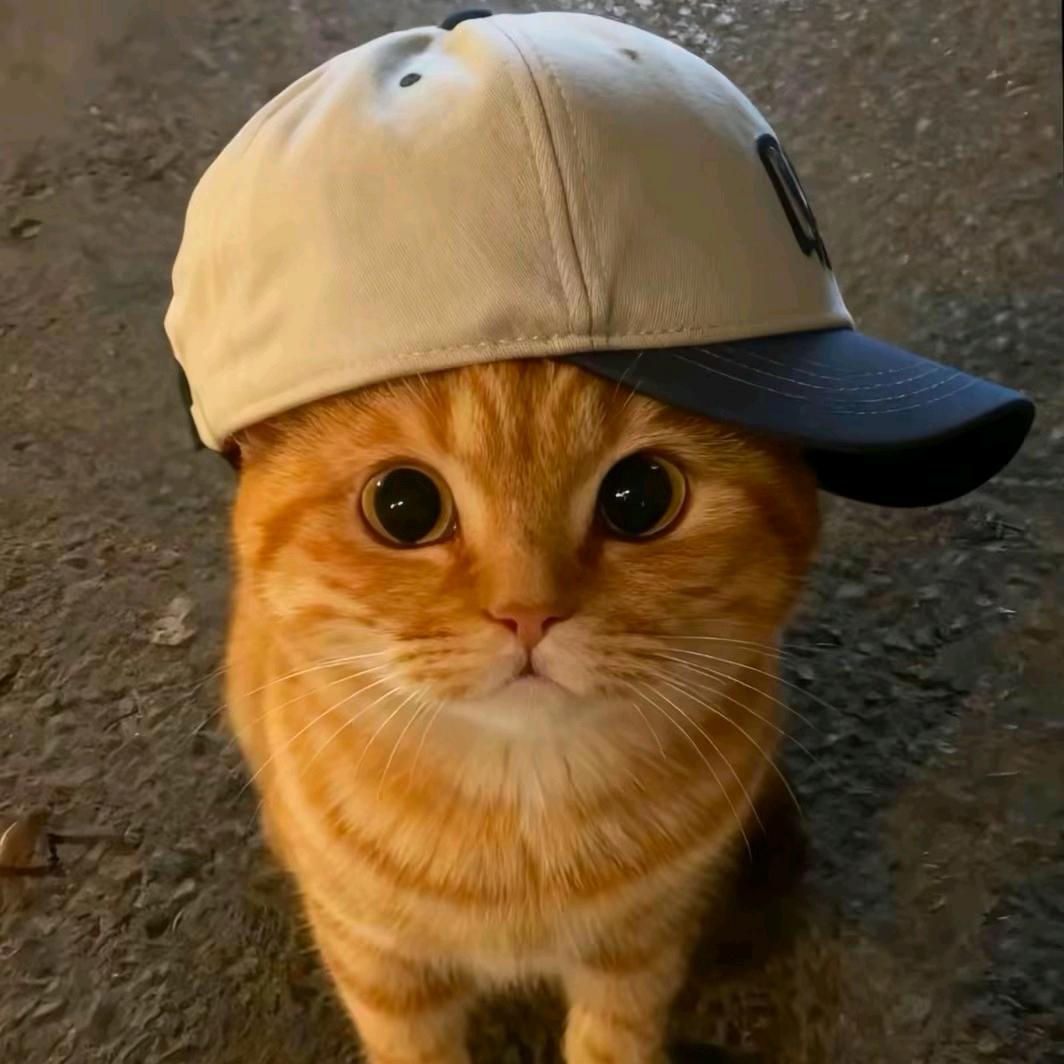 是小段呀.💭ྀི