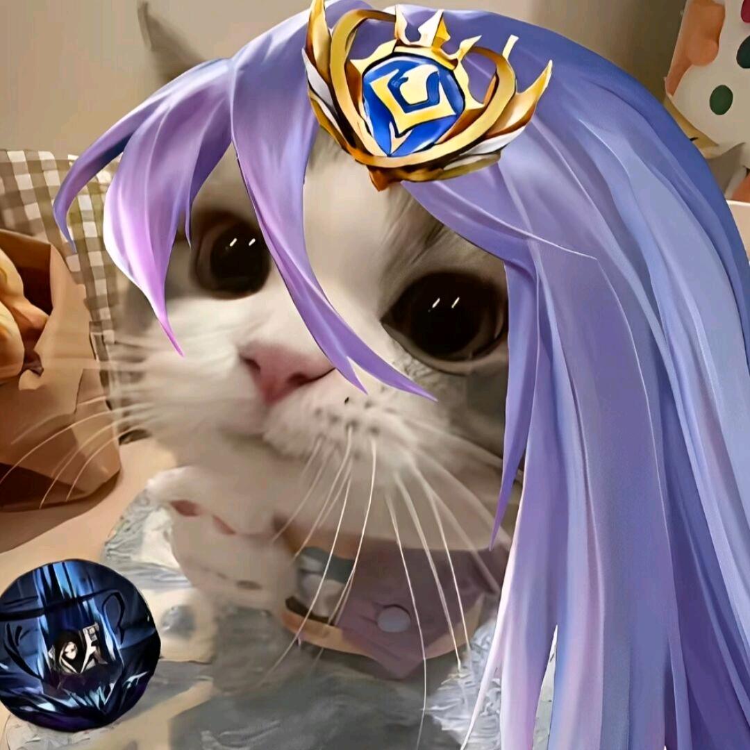 总在阴雨天悲鸣