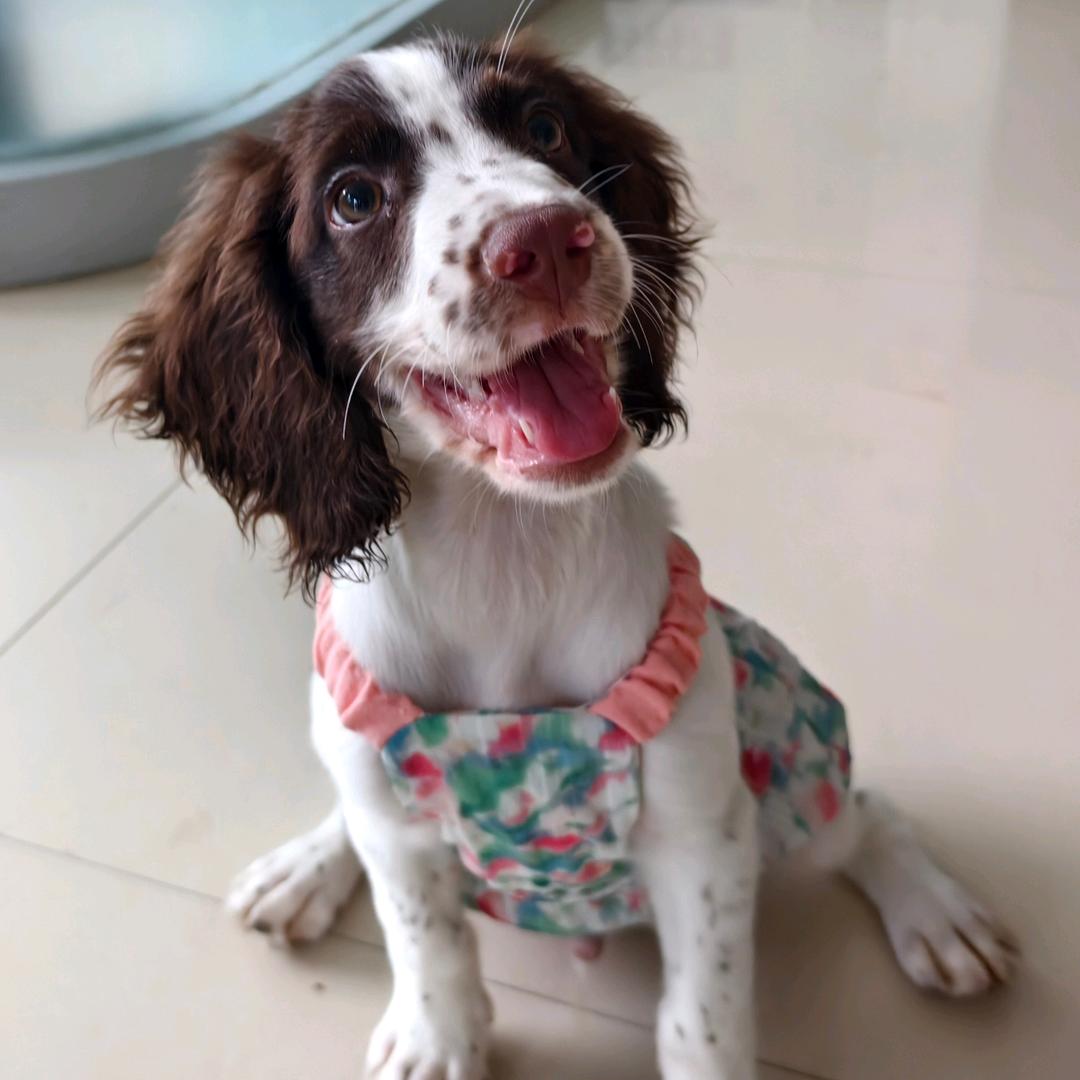 🌸陈二姑