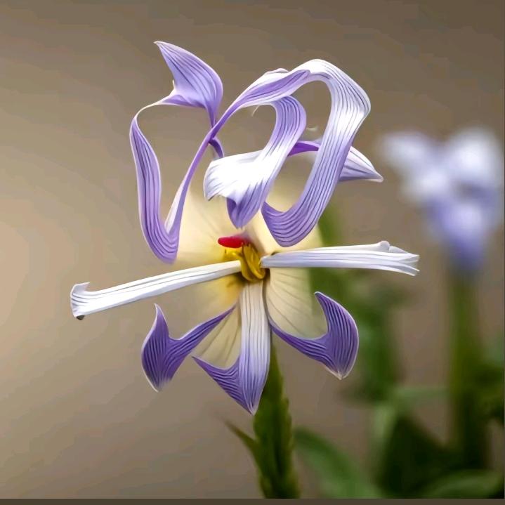 💜路过💥