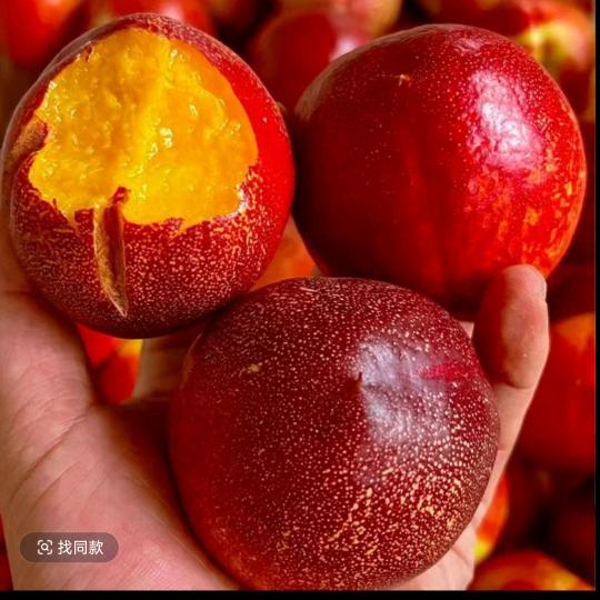 桃子🍑计划