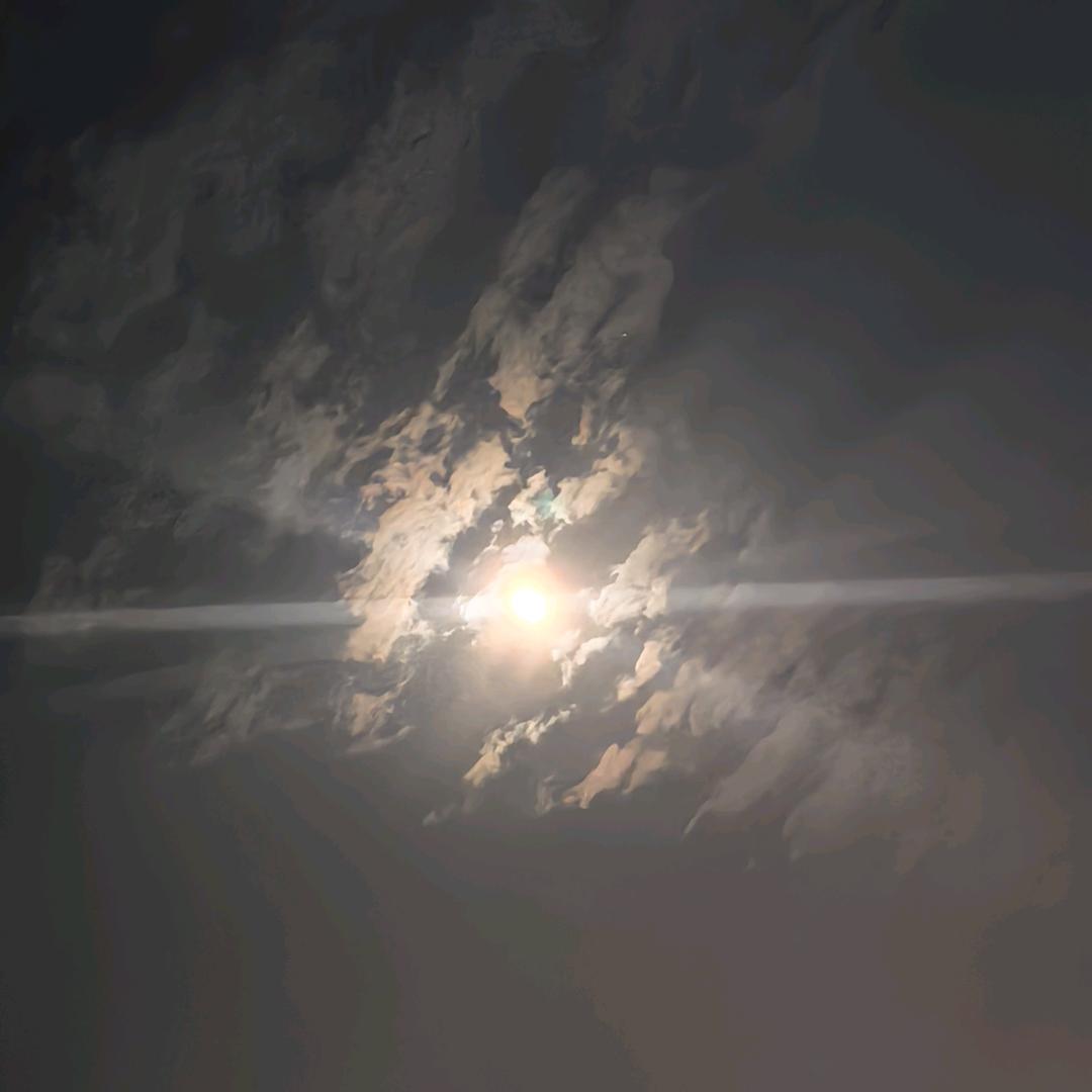 呵呵呵呵呵呵