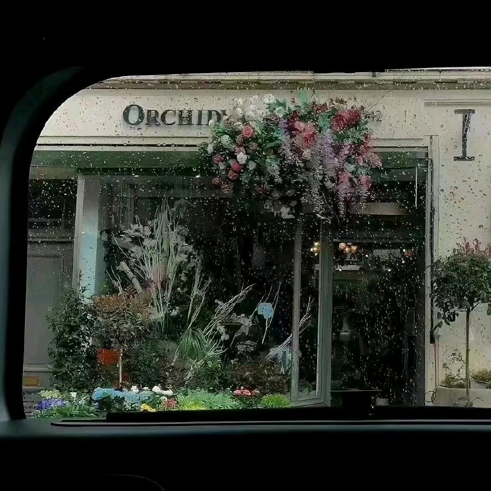 椿酿芋圆.