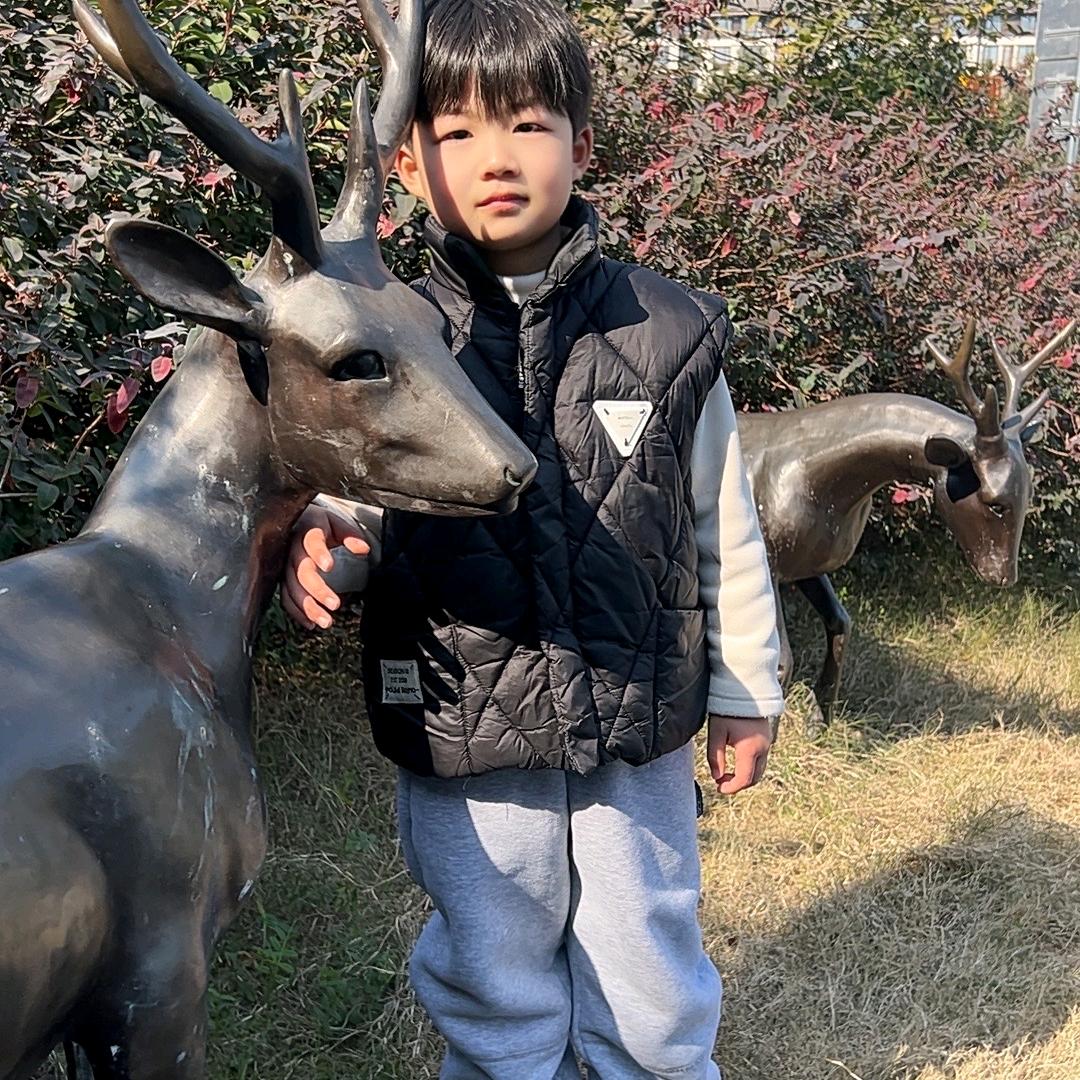 飞飞