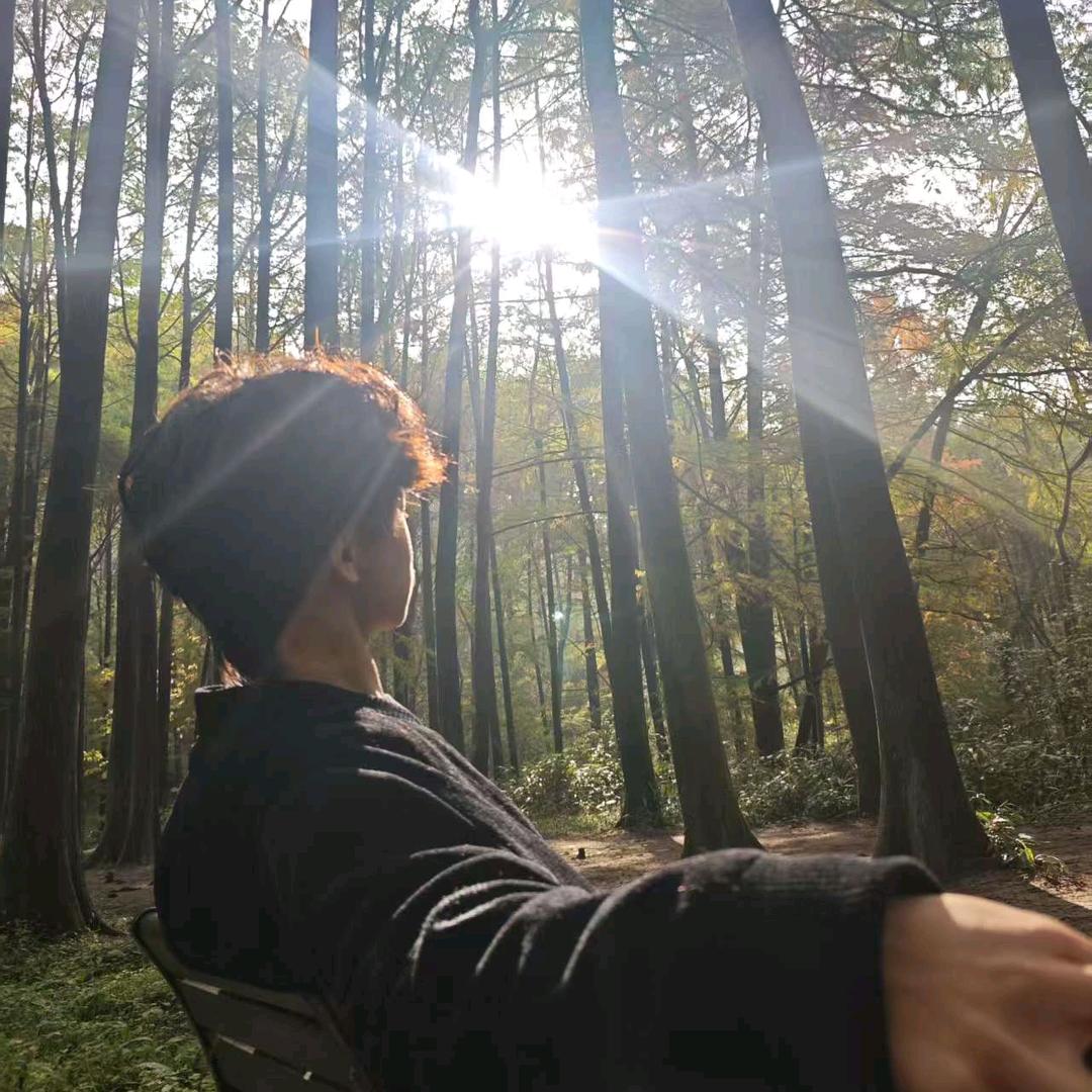 山茶