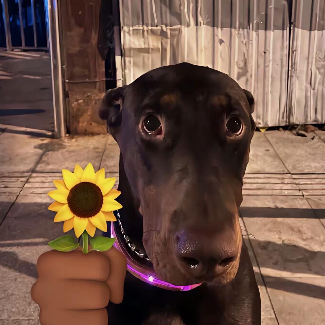 你怎么知道我收到我朋友送的新手册啦