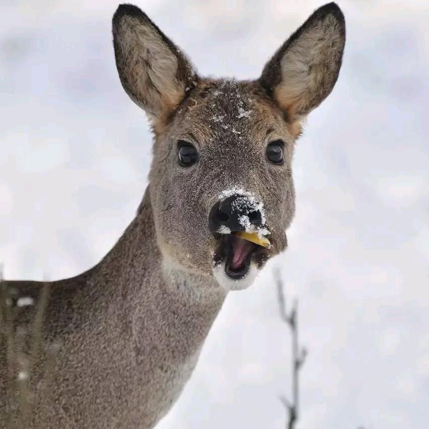 我妈说她不想上班了