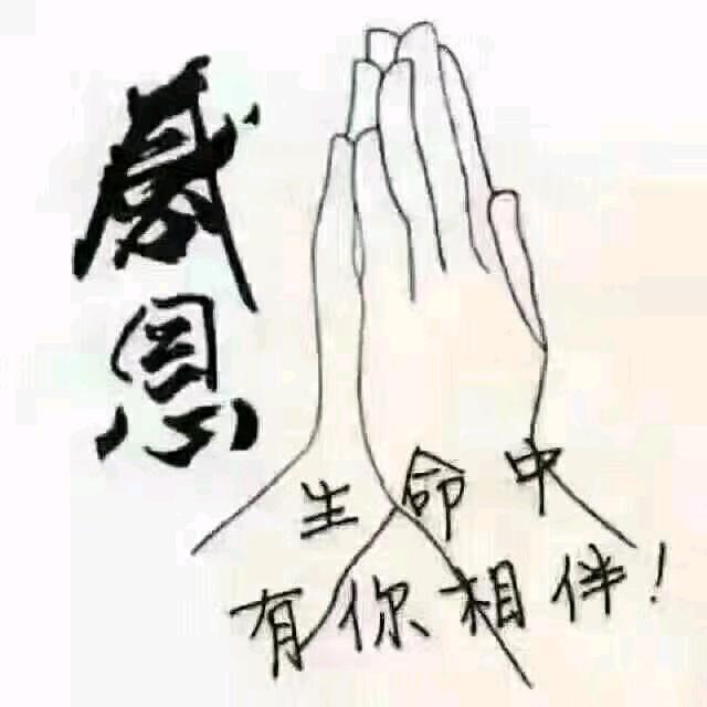 德善堂老手艺肩颈官方号