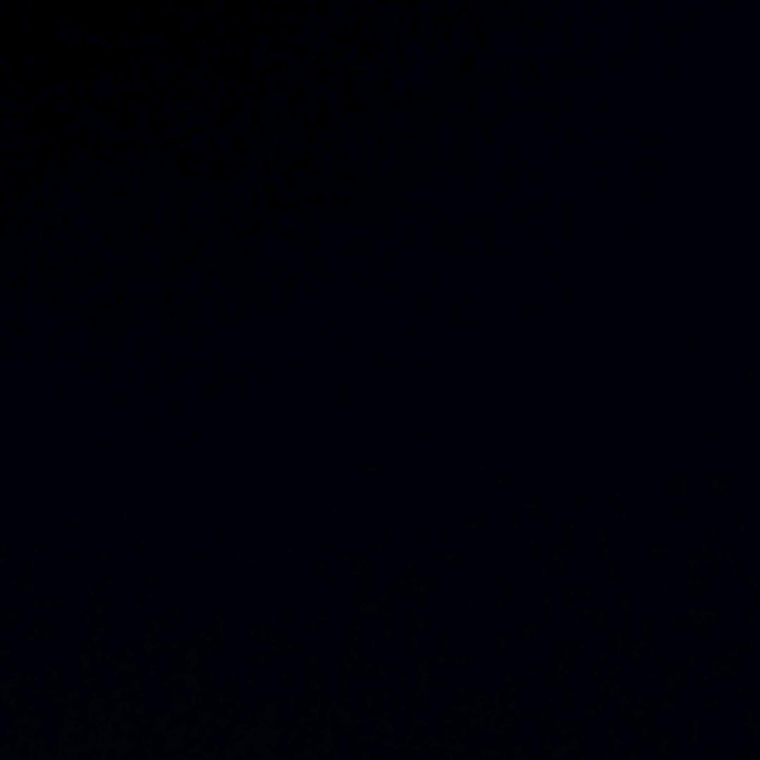 忧郁的火鸡面