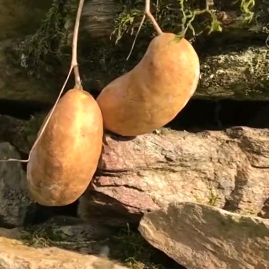 错把敷衍当承诺