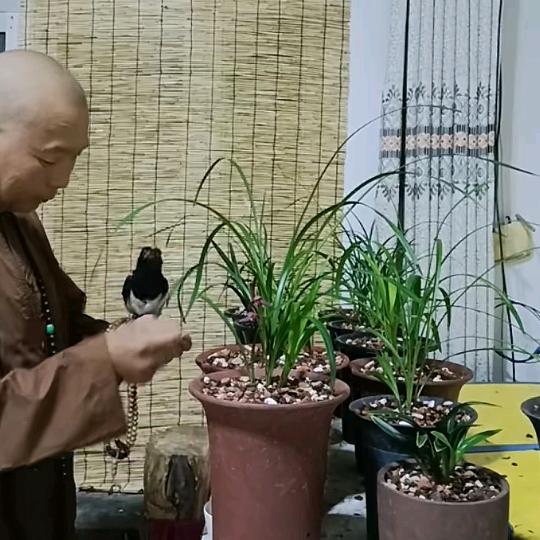大城刮腻子陈工