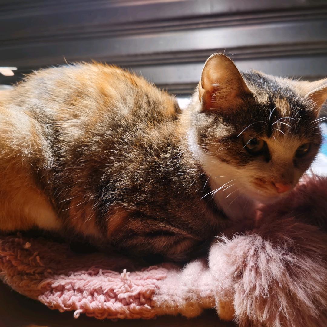 😘😘风雨同舟