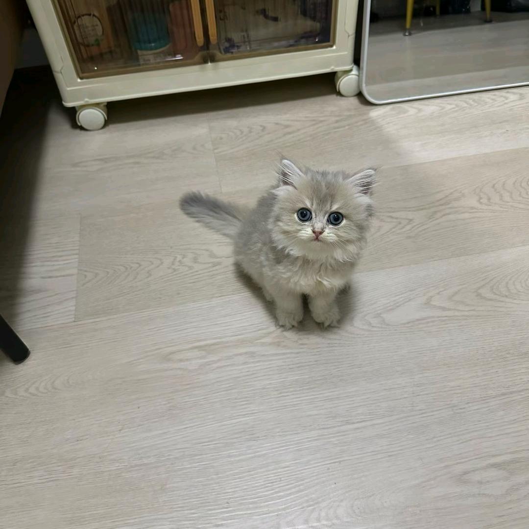 上海房地产经纪人