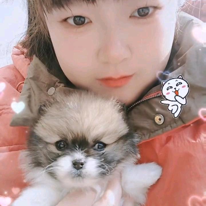 ♥我有好多好多Dog🌹