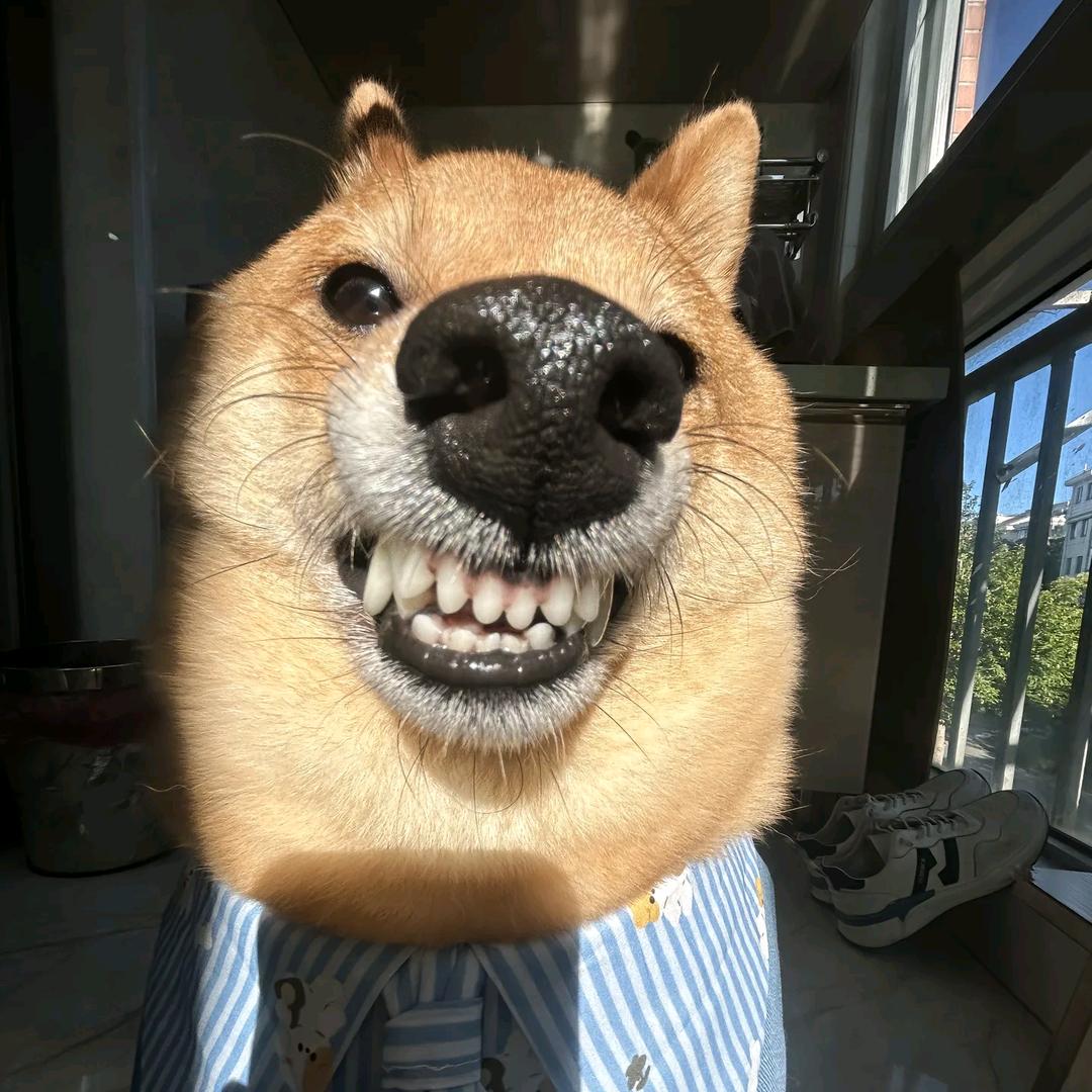 L..