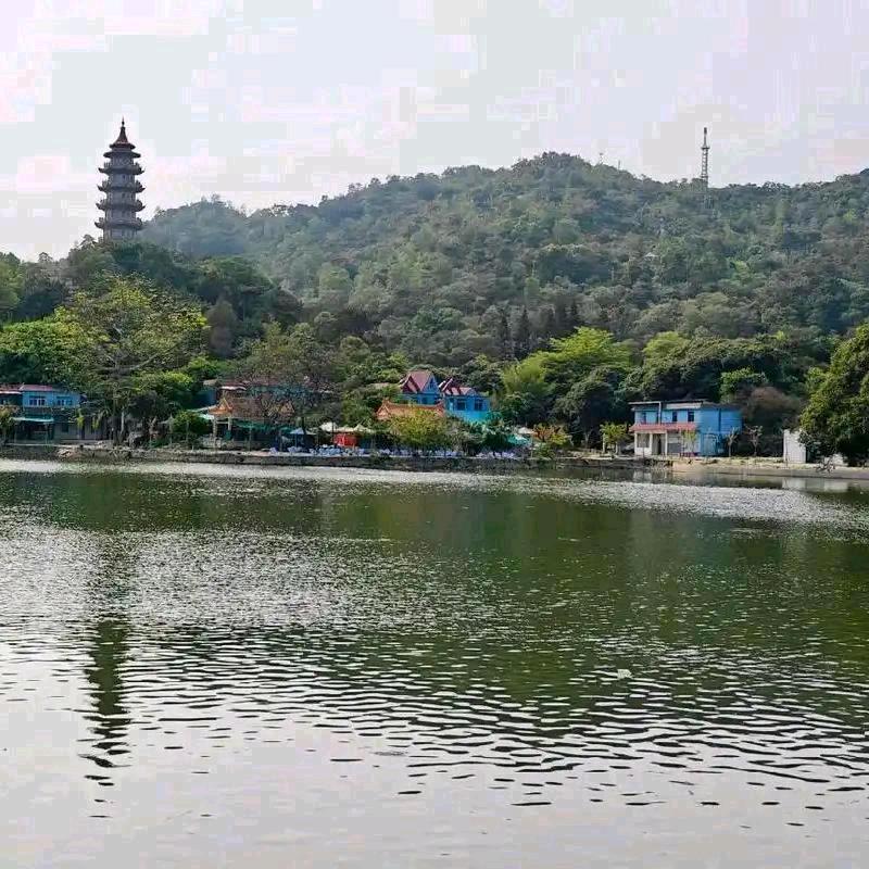 ℒᎭℯ梅子༉᭄✾͡࿐