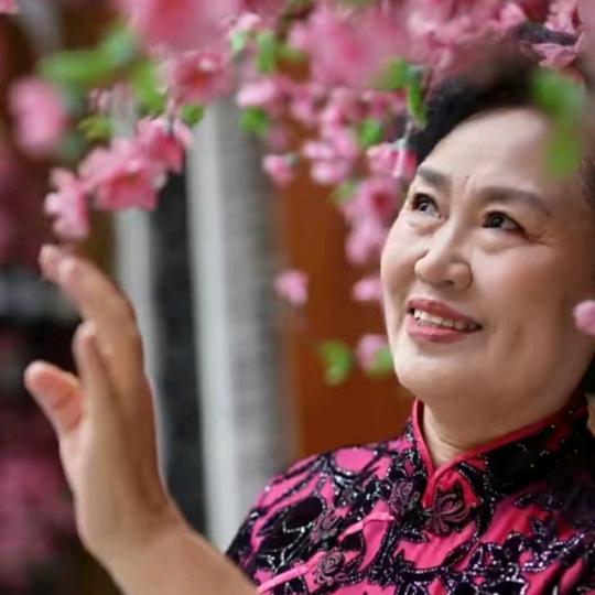 十三姨