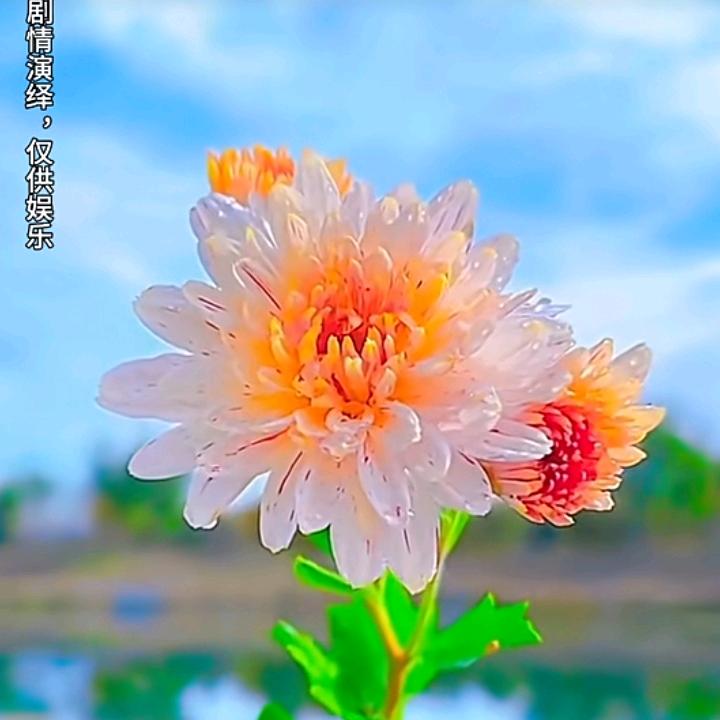 💝南康莉姐💝