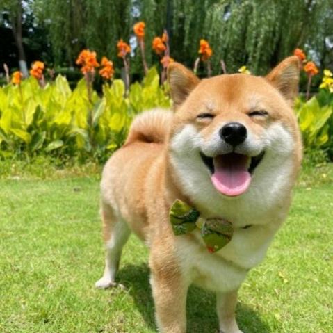 钟楼妮之