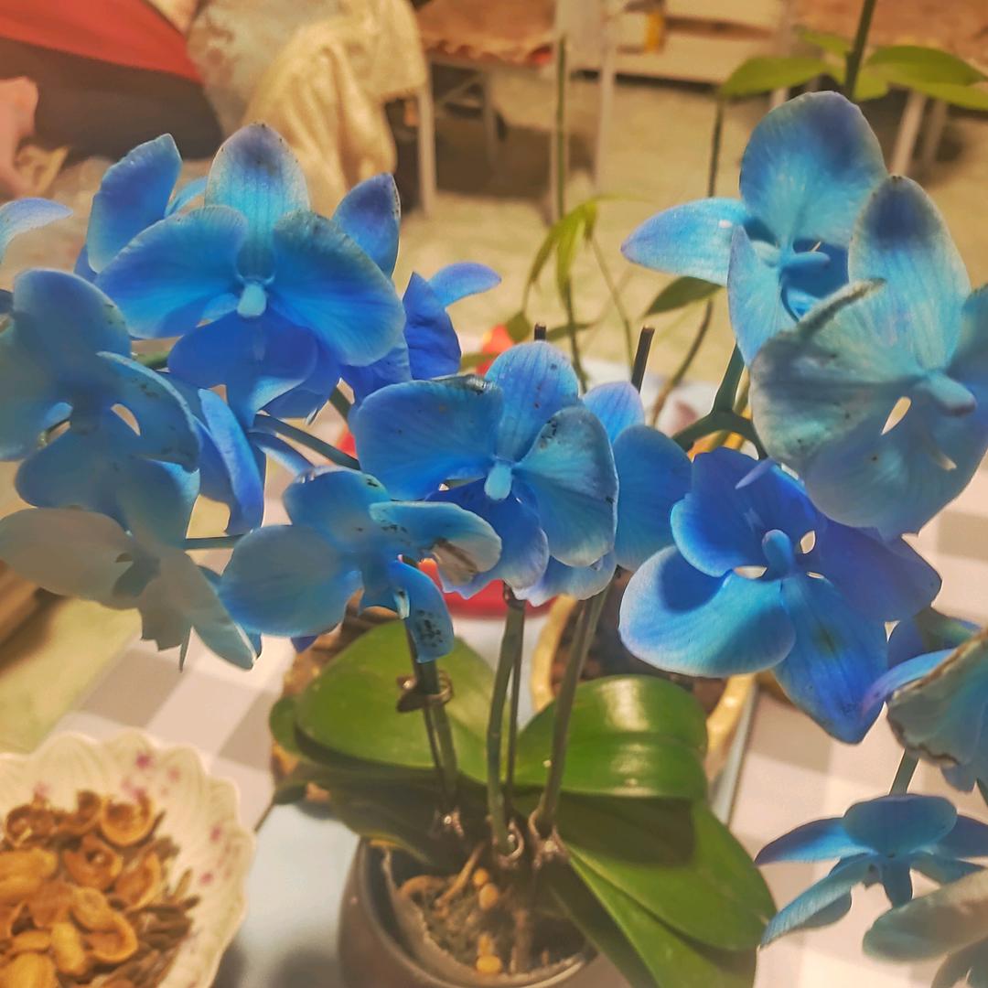 祝你开心点平安