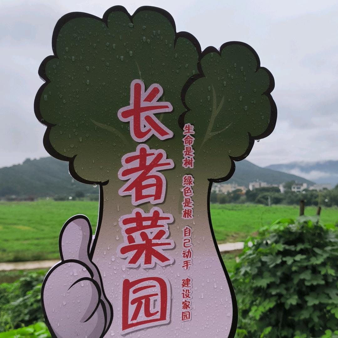 八月