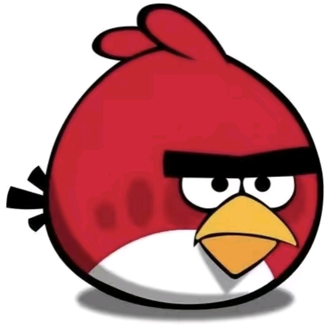 愤怒小马