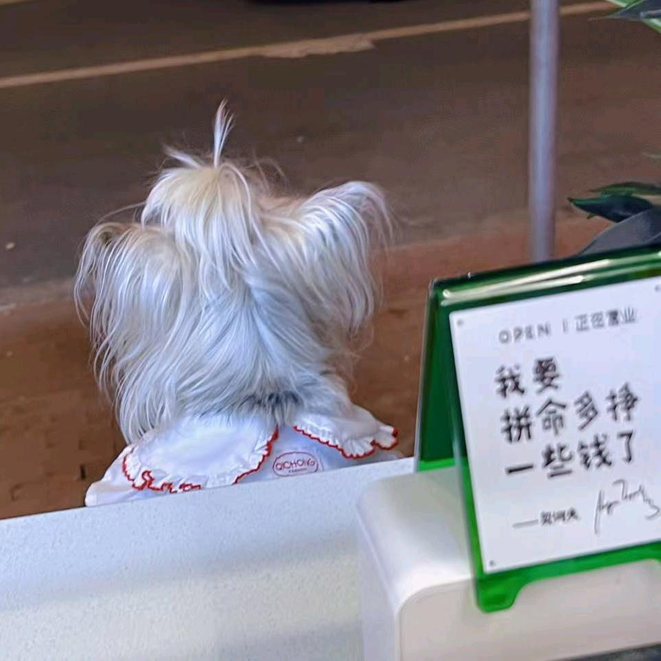张小蕾《互粉》