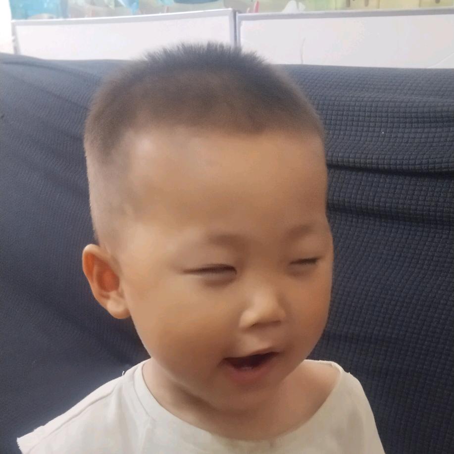 刁民