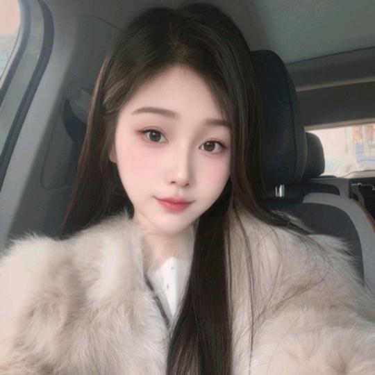 箭神归来的海燕头像