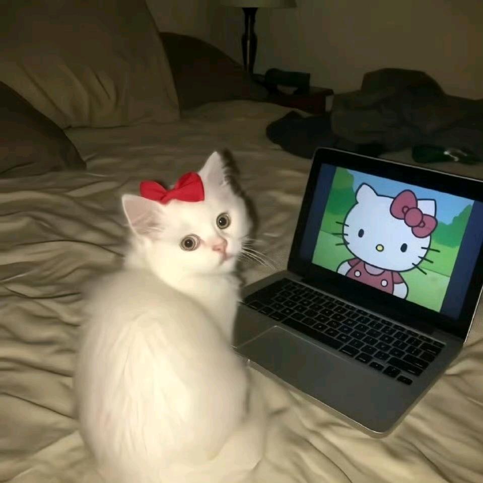 蒋利佳