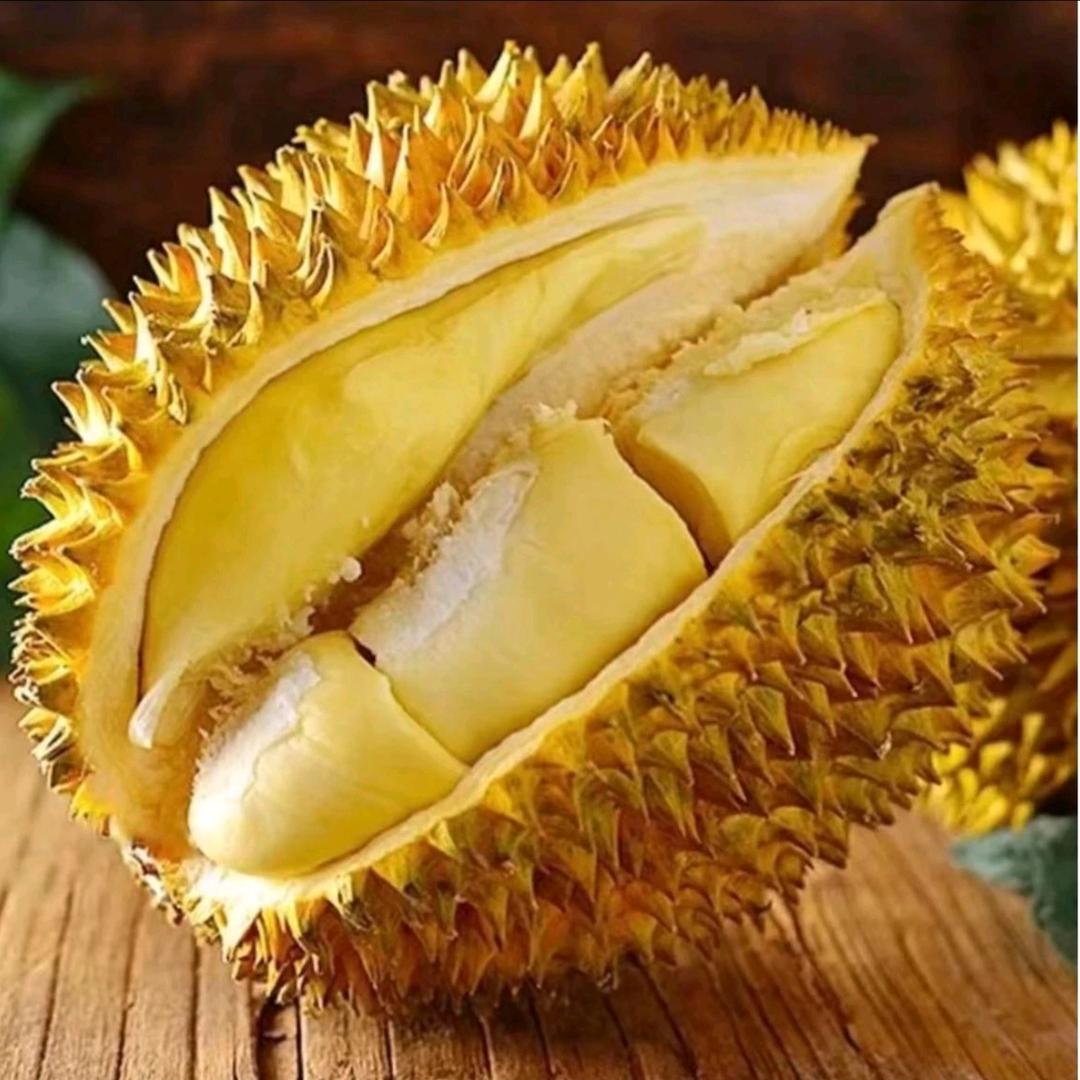 榴莲批发一手货源