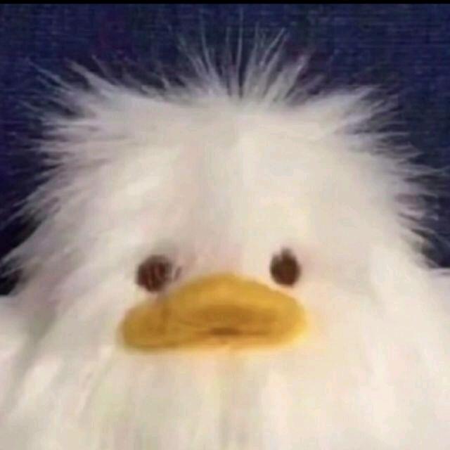 →坐忘道