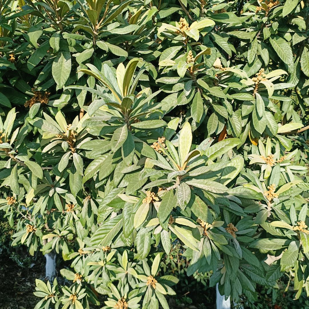 我的世界我做主