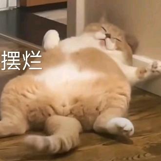 花季（三角洲航天鼠）