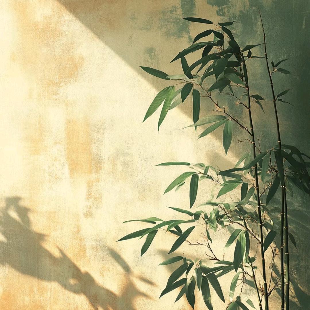 安徽全托李老师