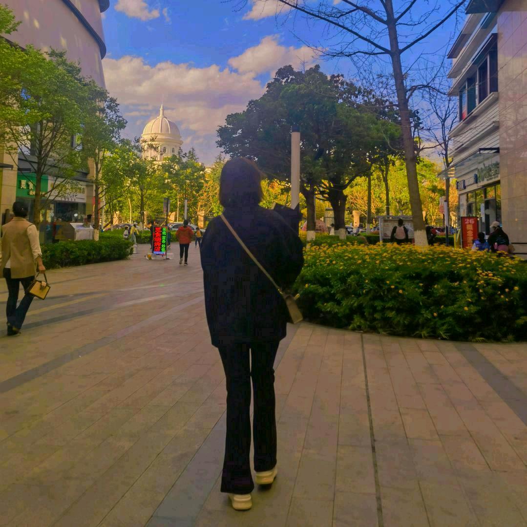 D 。