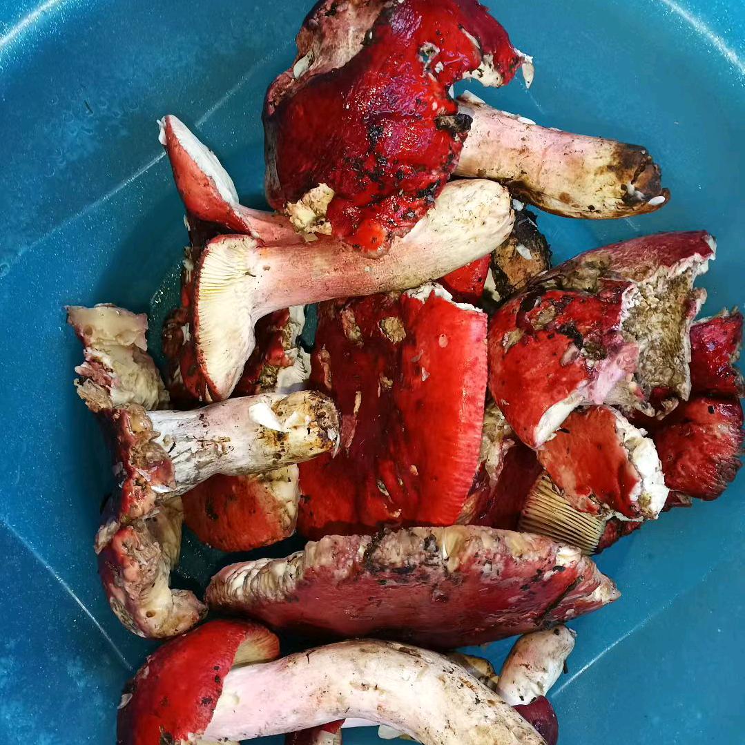 平平淡淡的过一生