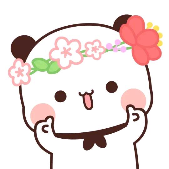 小熊猫一二的店铺