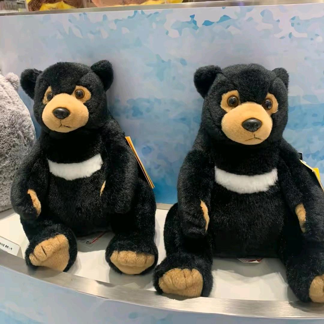 碧海蓝天不定时开播