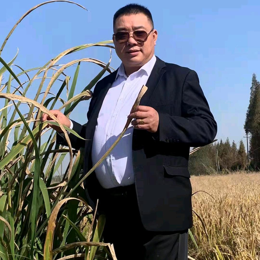 单身熊叔
