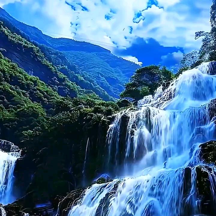 晶晶服装秀场