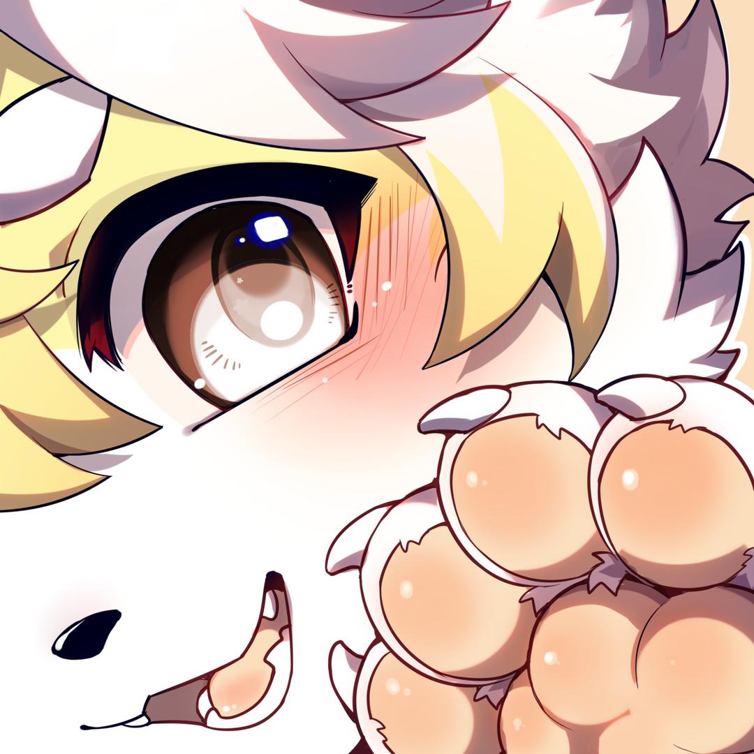 🐾枫缘 🐾