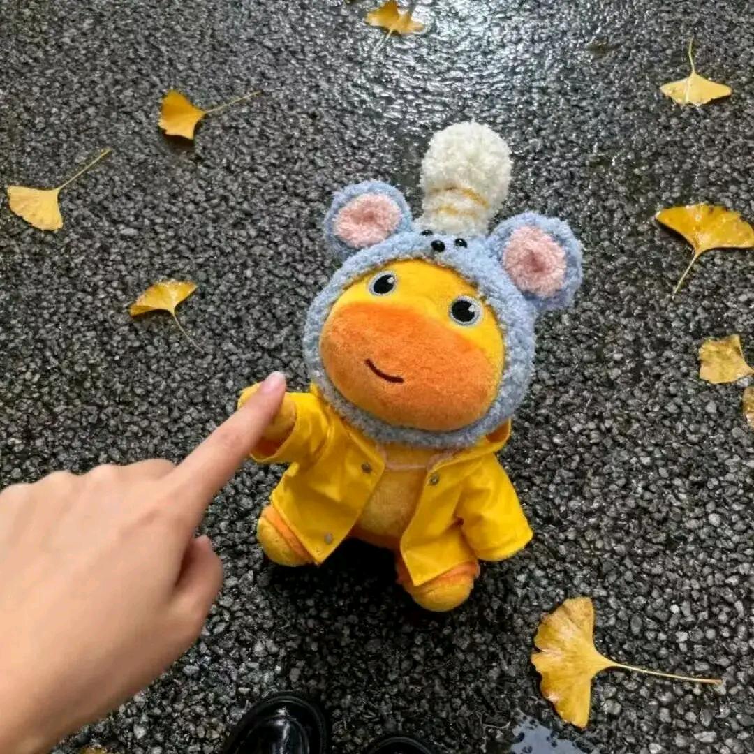 暖暖❣️