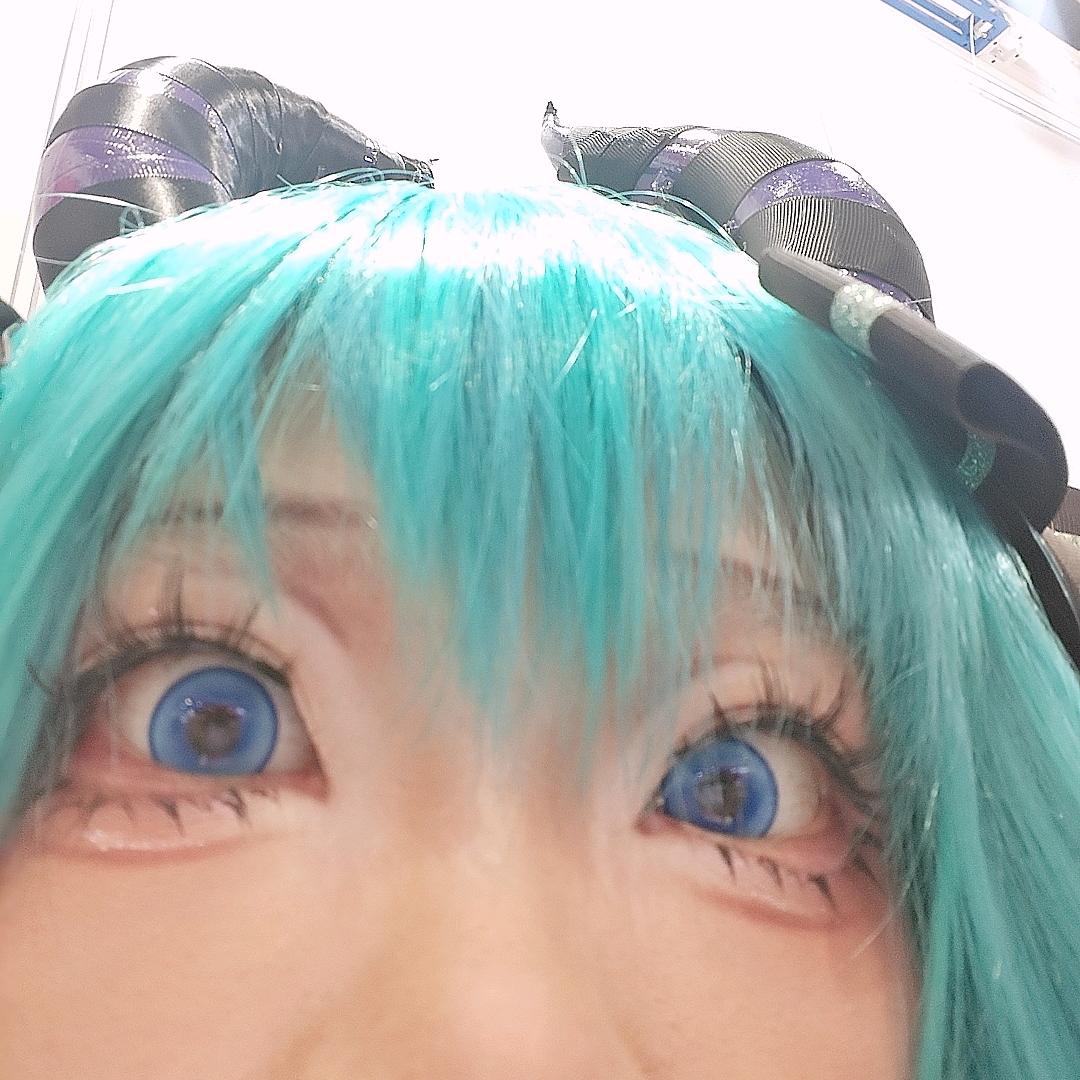 白龙记得睡觉