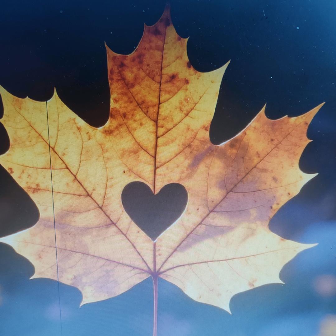 💞ꦿ怡君顺遂꧔ꦿ࿐