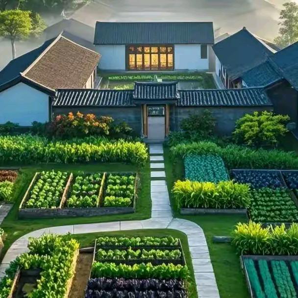 李先生（环境规划）