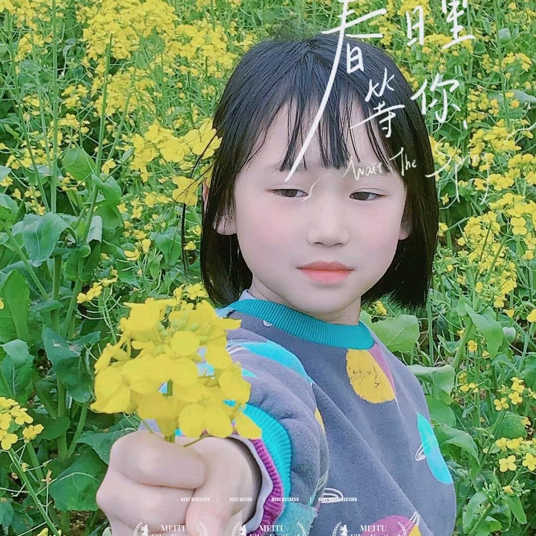 🌸杨～杨