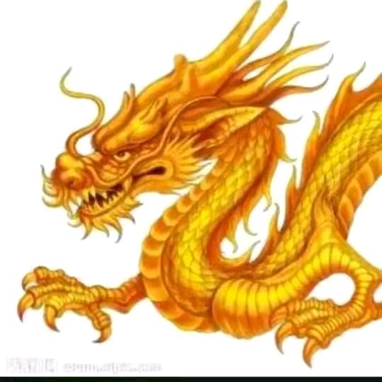 👁️巨龙侠👁️