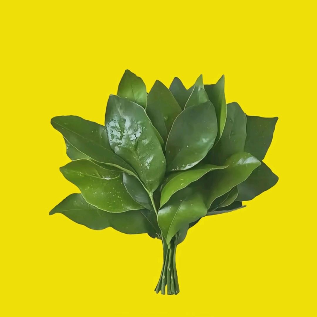 一张🥀不够ꦿ᭄花꧔: