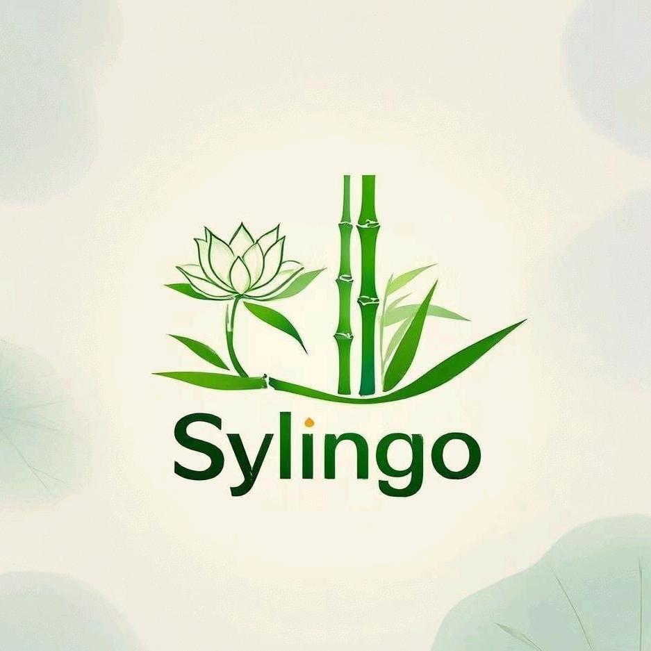 Sylingo海外旗舰店